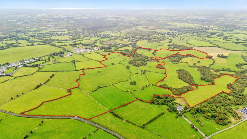 €1.54m farm sale sets 'new benchmark' for Clare
