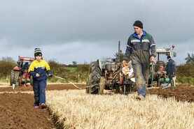 In pictures: autumn ploughing, harvest and pedigree shows across Ireland