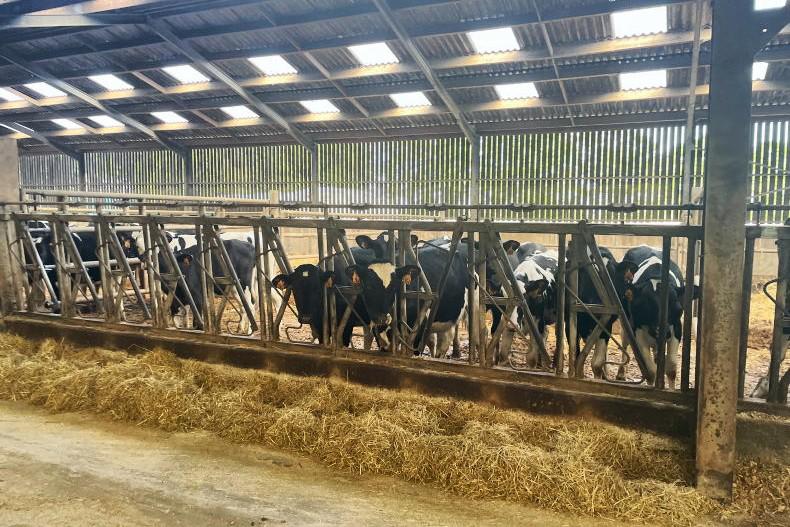 International perspective: the ongoing lure of the land 