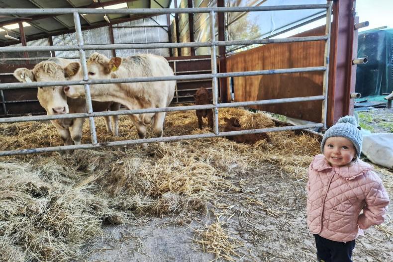 In pictures: our favourite readers’ photos of the week 