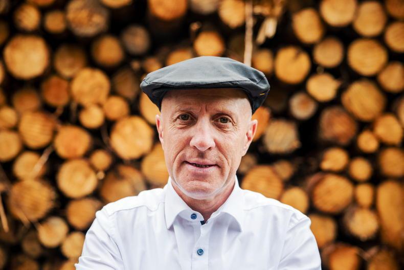 ‘Significant number’ of public bodies in talks to access forestry funds