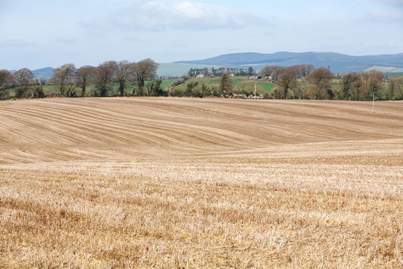 Common sense has prevailed with changes to stubble rules – IFA