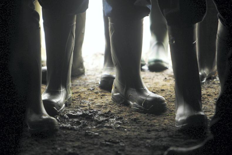 New pension scheme will place a 'significant add-on' cost on farmers with staff