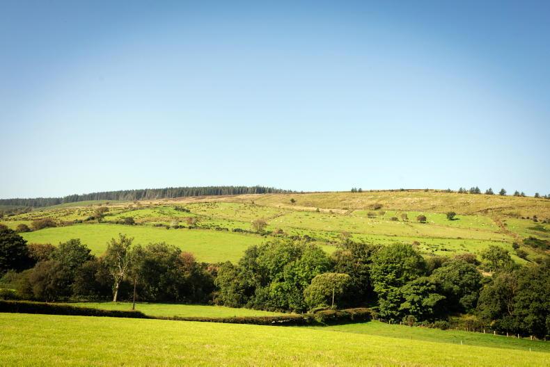 Revealed: farmland prices by region as CSO clocks over €500m in land sales