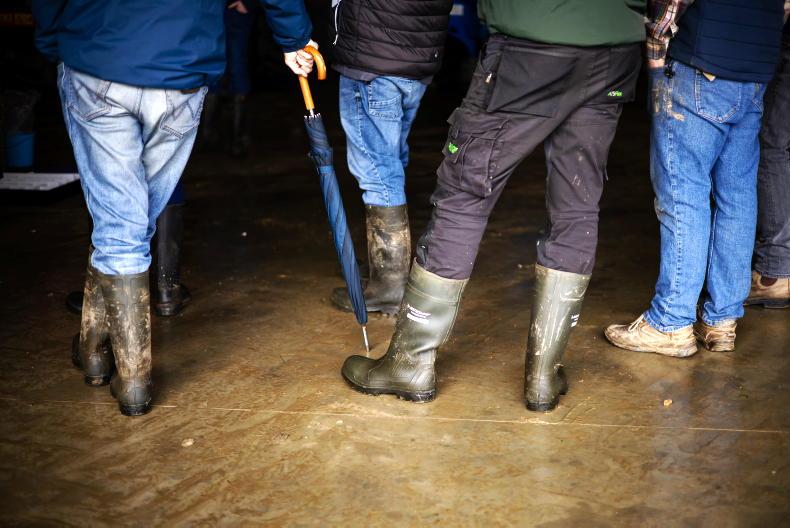 Movember calls for €10m in funding for men’s health