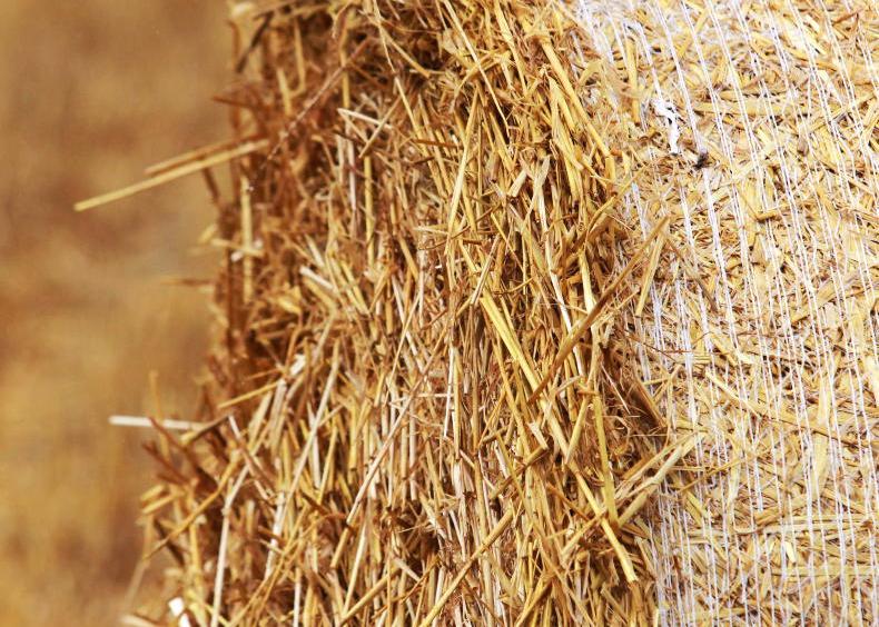 Calculating straw requirements this winter period