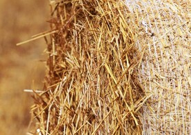 Calculating straw requirements this winter period