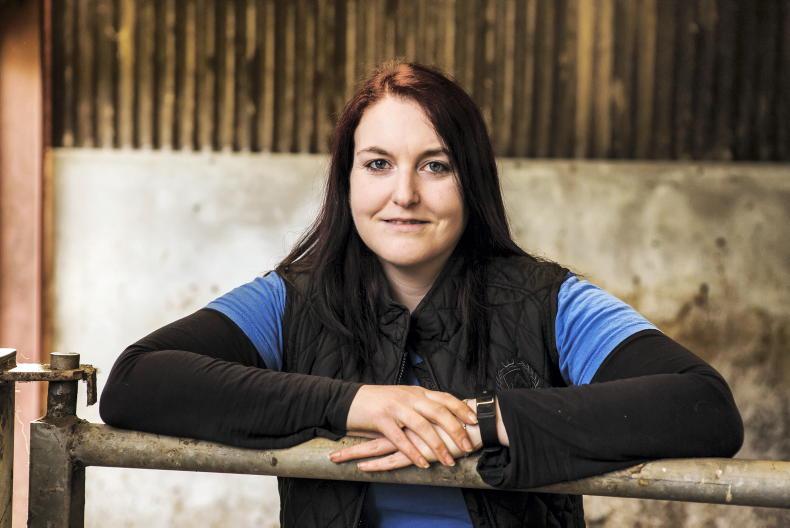 Farmer Writes: cattle housed for the winter 