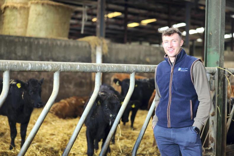 My Farming Week: Michael Martin, Ballybaun, Rathnure, Co Wexford    