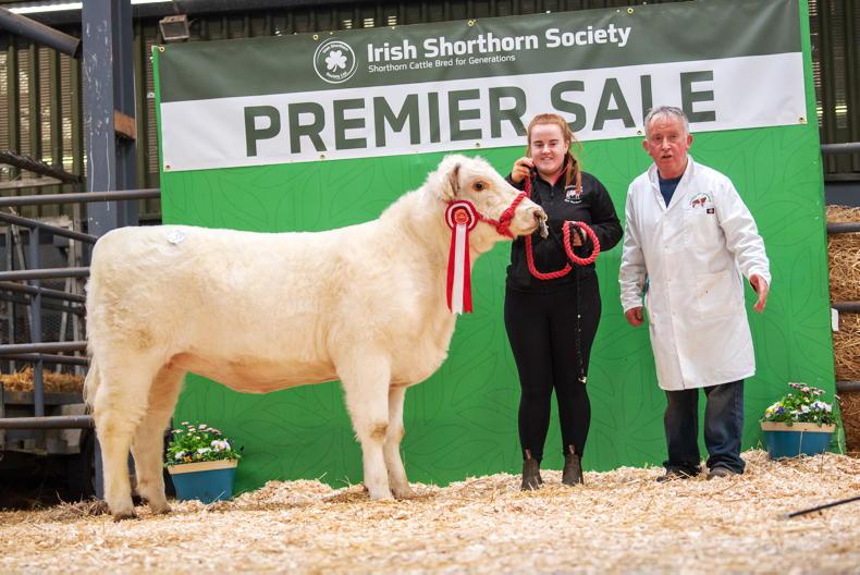 What's on: major pedigree and commercial cattle sales incoming