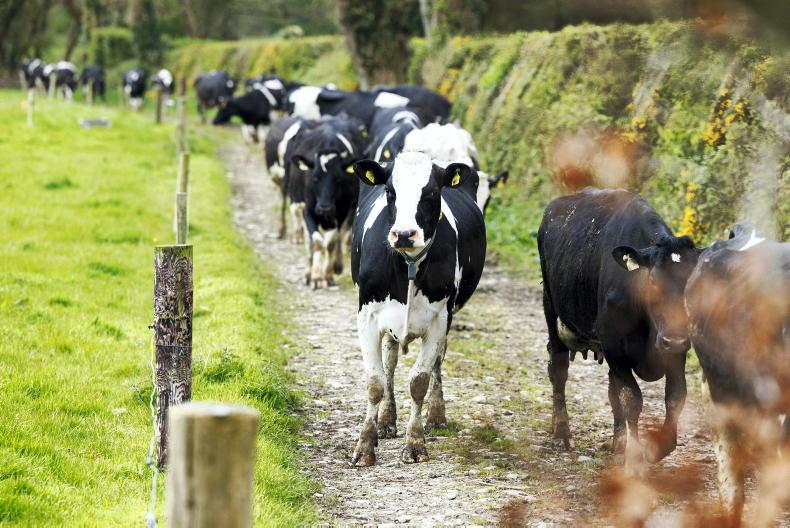 Livestock decline offsets emissions from higher 2024 fertiliser use - Teagasc