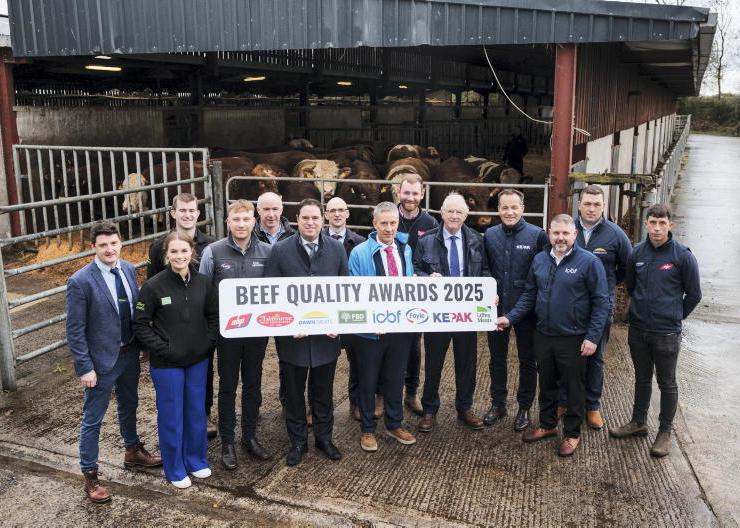 Beef Quality Awards launched to highlight the positive impact of CBV on farms