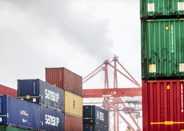 Irish farmers produce enough protein to feed 36m people