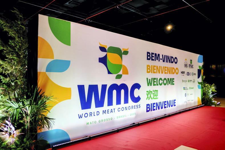 Consumers turn to eggs for protein