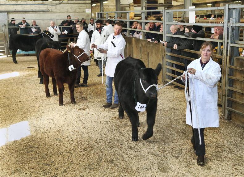 Northern Ireland diary of events