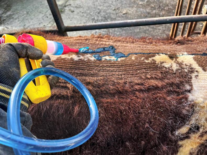 Claim that vet medicine rules threaten survival of co-ops