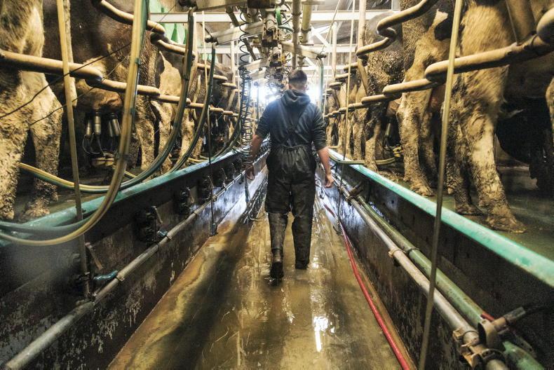 Ornua PPI indicates 40.63c/l ex VAT market return on October milk