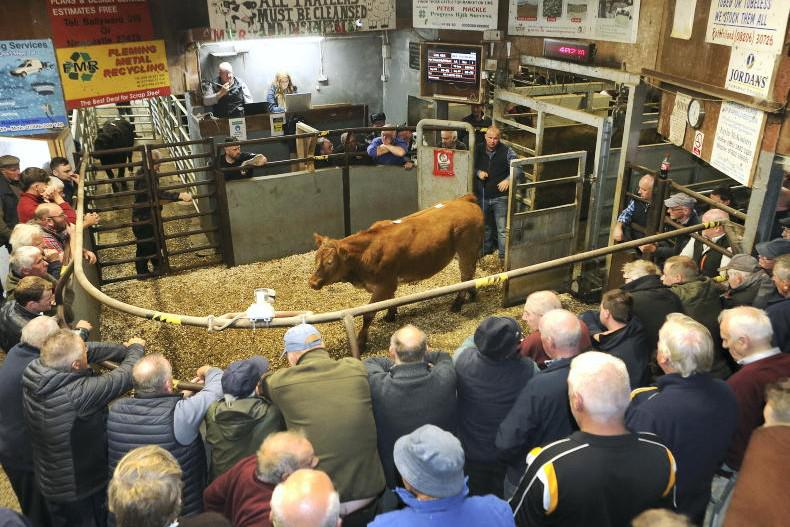 Northern Ireland news in-brief