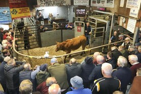 Northern Ireland news in-brief