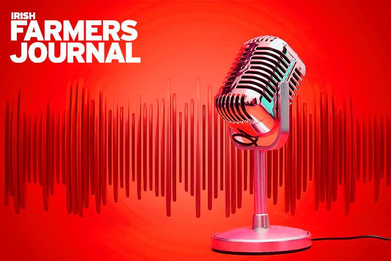 Farming News Podcast: farmer pensions and D-day for derogation 