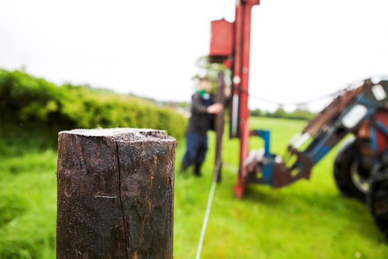 Further greening of CAP would increase overall emissions - research