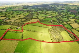 ‘Firm bit of land’ heads for auction in south Kilkenny