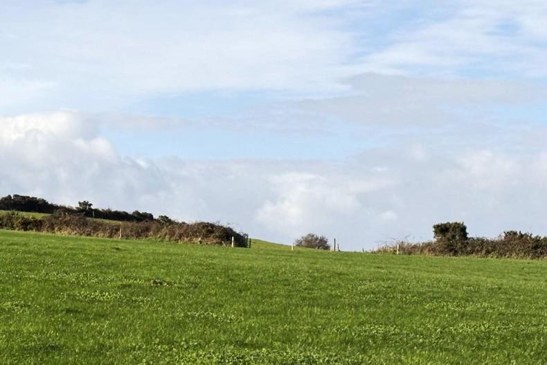 Plenty of interest in Blackwater Valley farm ahead of auction 