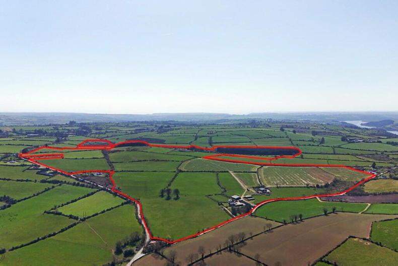 West Waterford farm sells for €2.525m at auction