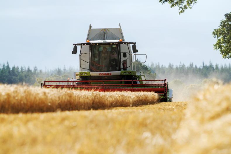Teagasc estimates increase in 2025 cereal production