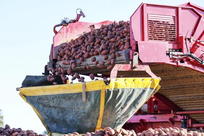 Rise in farmgate prices in 2025 dominated by surge in cattle