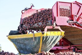 Rise in farmgate prices in 2025 dominated by surge in cattle