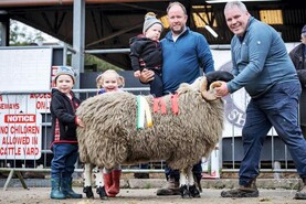 Top of €5,150 at Waterford Blackface sheep breeders sale