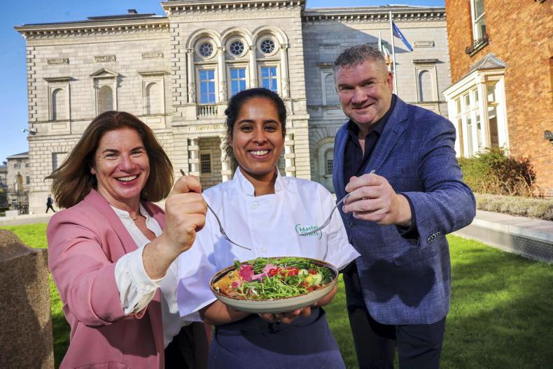 Collaboration needed for Irish food sector’s future