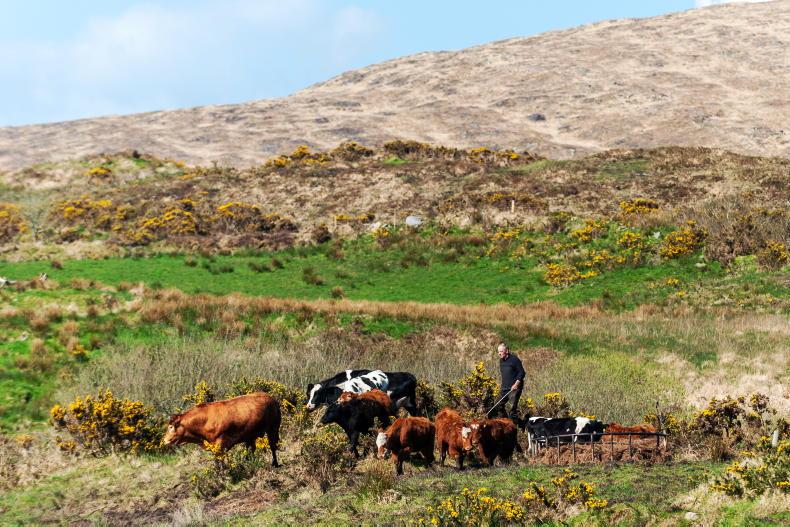 Over €146m in advance ACRES funds begin issuing to farmers