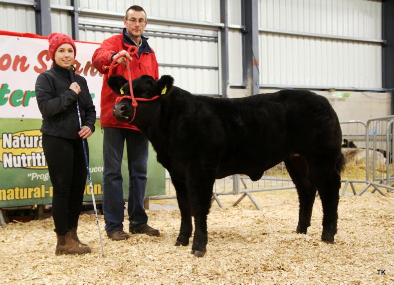 'It's not just about winning, it's about the camaraderie'