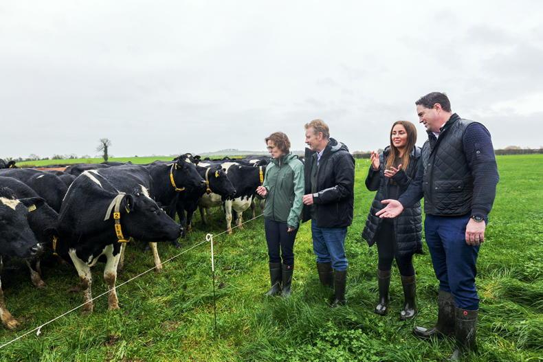 My Farming Week: Pat Durkin, Ballyshannon, Kilcullen, Co Kildare