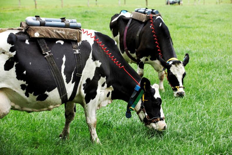Reducing methane emissions 'essential' in meeting agriculture’s target