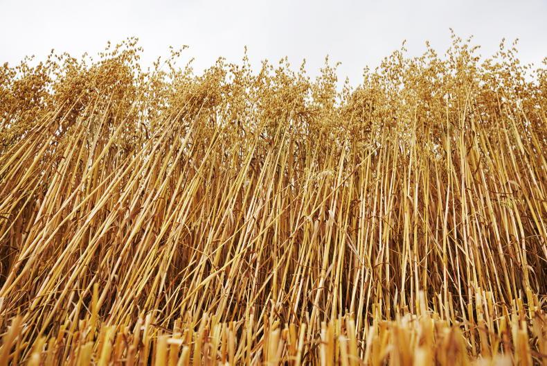 Two-crop rule removal dependent on votes at EU council and parliament