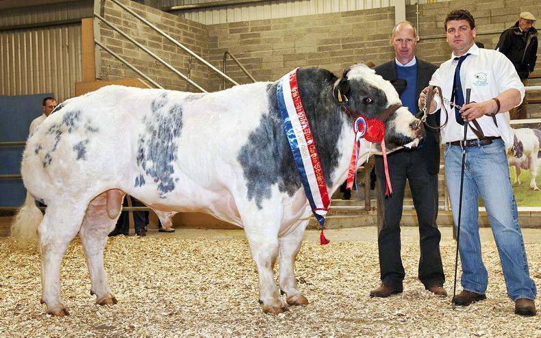 Beef Quality Awards: CBV suckler finisher finalists