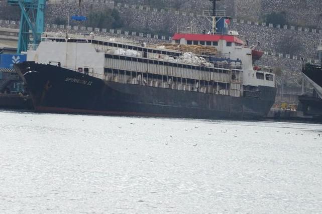 Almost 3,000 Uruguayan cattle stranded at sea over ear tag issues