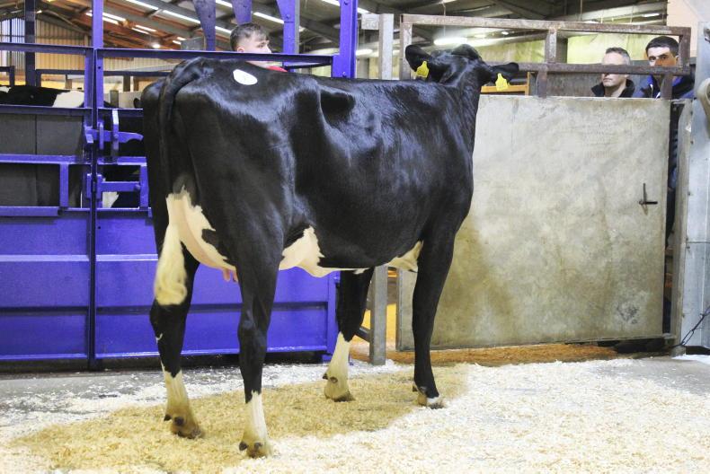 Northern Ireland weekly diary of events