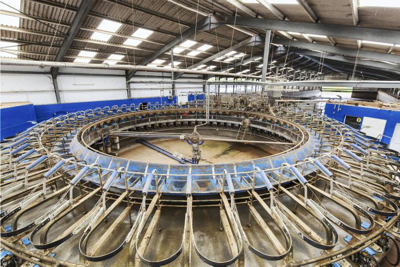 Rockwell cows offered as part of land sale