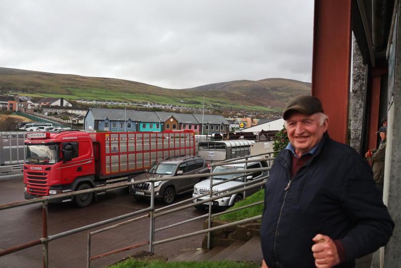 Divine interval in Dingle               