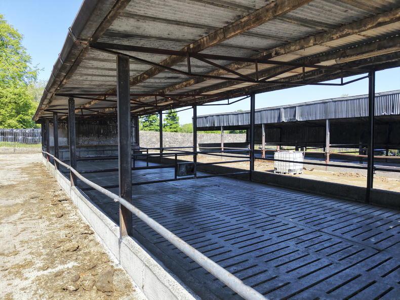 Royal battle for Meath farm lease under way