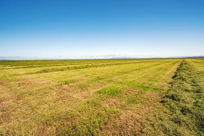 1,000ac farm sold for undisclosed sum