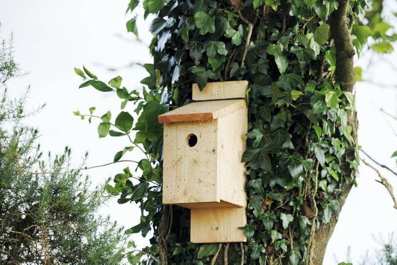 Over €1.4m begins to issue to 588 ACRES farmers for NPIs