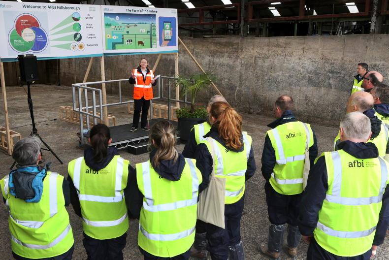 AFBI study suggests role for by-product feeds