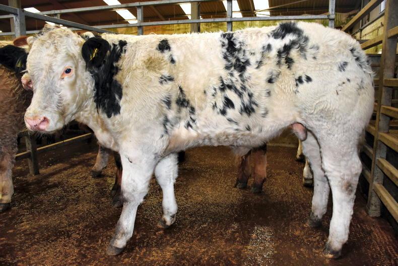 Northern View: quotes steady, but prices paid edge up