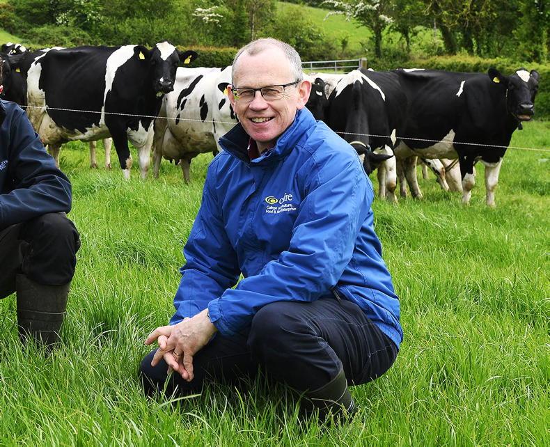 CAFRE leaking dairy advisers to Dale Farm
