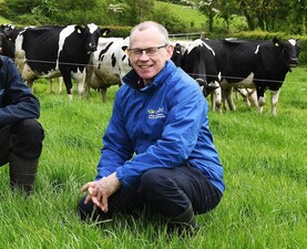 CAFRE leaking dairy advisers to Dale Farm